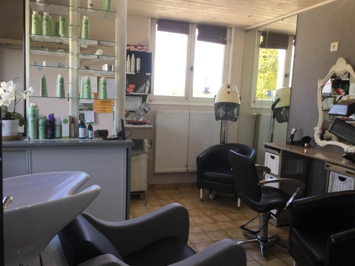 Gite de Belle vue Semur-en-Brionnais Extérieur photo